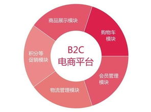 B2C电子商务网站发展及运营注意要点